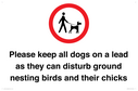 please-keep-all-dogs-on-a-lead-as-they-can-disturb-ground-nesting-birds-and-thei~
